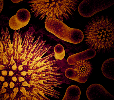 microbiota intestinale